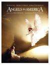 金球奖:天使在美国剧情介绍,天使在美国影评解说